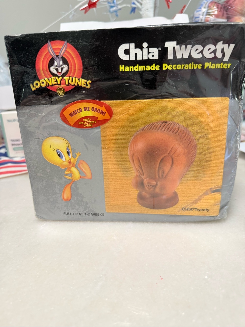Warner Bros. Chia Tweety Decorative Planter - Yellow & Orange Accents